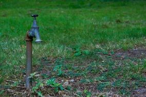 the tap water on a green lawn