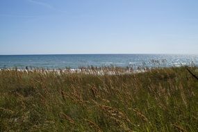 landscape of dune and sea