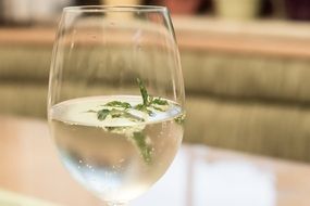 alcoholic cocktail with herb