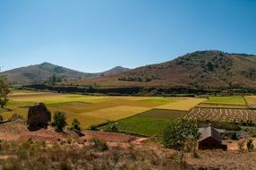 countryside ,madagascar, beautiful view of rice fields