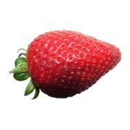 tasty strawberry