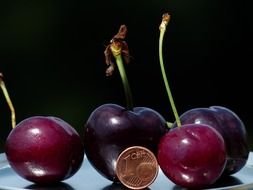 huge cherry vs coin