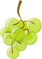 Branch with grapes