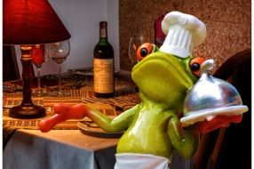 funny frog cooking