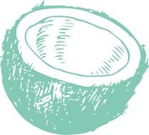 coconut tropical drawing