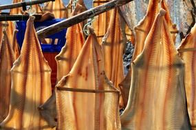 fishermen and dried fish in Portugal