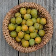 green plums in wicker basket