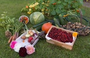 autumn colorful harvest garden picnick