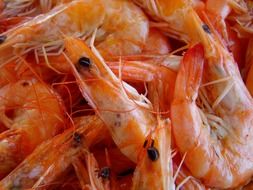 boiled shrimp in a plate