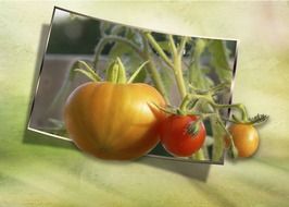 picture with vegetables