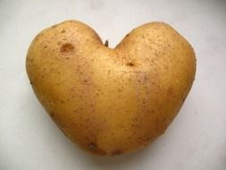 Organic potato in a shape of heart
