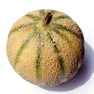Charentais melon on white
