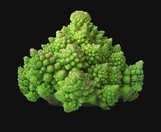 romanesco broccoli on a black background