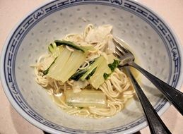 chinese noodle soup in a plate