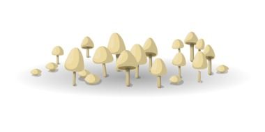 White mushrooms as a clipart