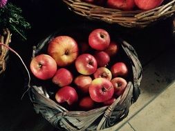 basket with apples