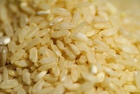 asian rice closeup