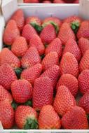 A lot of the sweet strawberries