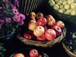 autumn harvest in baskets