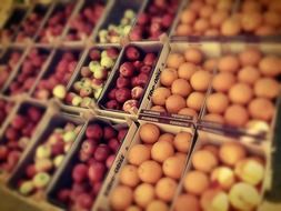 fruits in boxes on the market