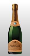 classic champagne bottle vector drawing