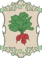 radish vegetable vector drawing