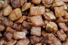 fried fat meat, food background