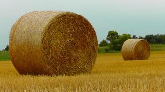 round stack of dry hay