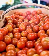harvest of red ripe tomatoes