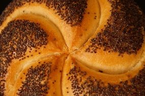 bun with poppy seeds