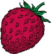 drawing of a red strawberry with a green tail