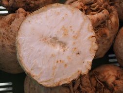 celery tuber vegetable