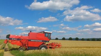 red combine harvester on the wheat field