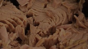 tuna fillet