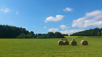 round straw bales on a rural field in Germany