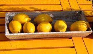 lemons colorful