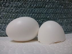 broken white egg