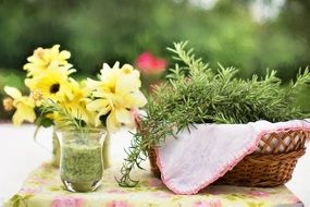 rosemary herb on the table