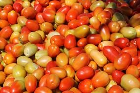 A lot of tomatoes