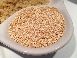 grain in a ceramic bowl