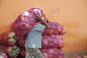 vegetables in purple nets