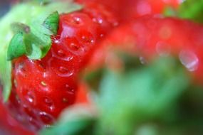 close up strawberry