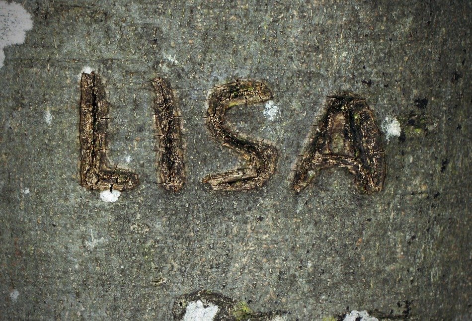 lisa text drawing