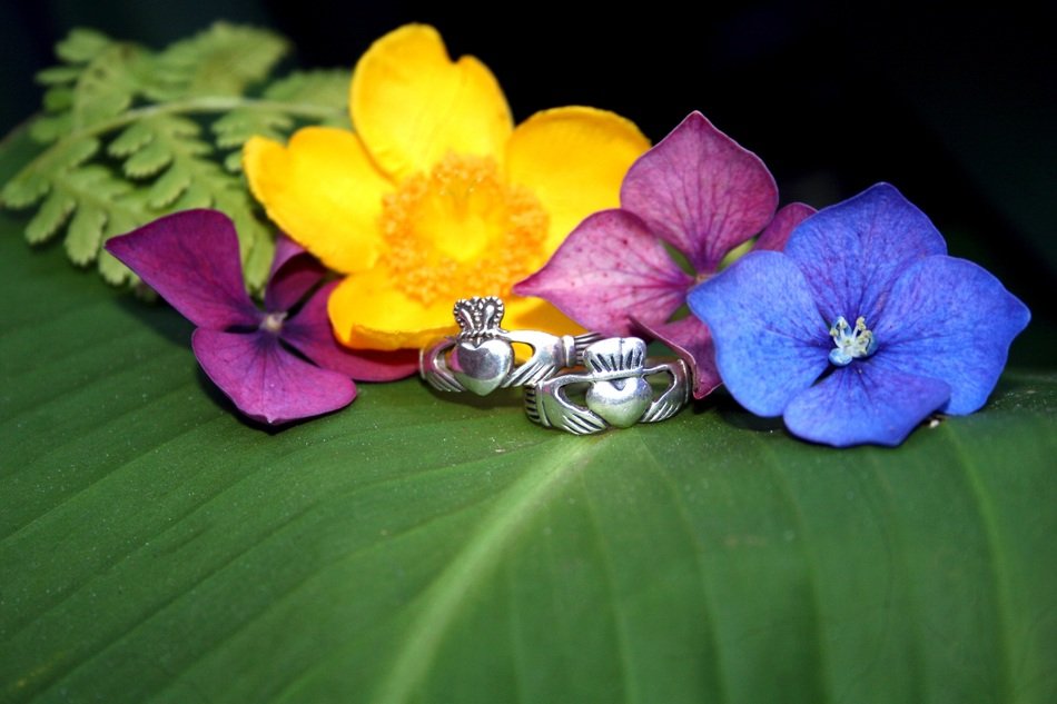 rings near flowers on a green leaf