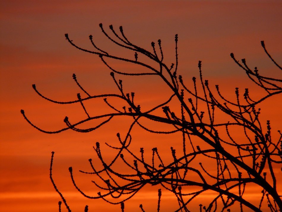 afterglow of sunset
