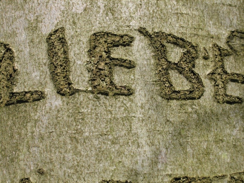love, german script on bark