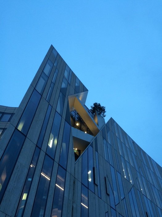 facade of building with the tree growing on the balcony, germany, düsseldorf