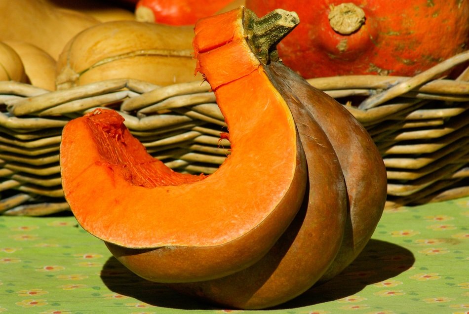 cutted piece of the great pumpkin