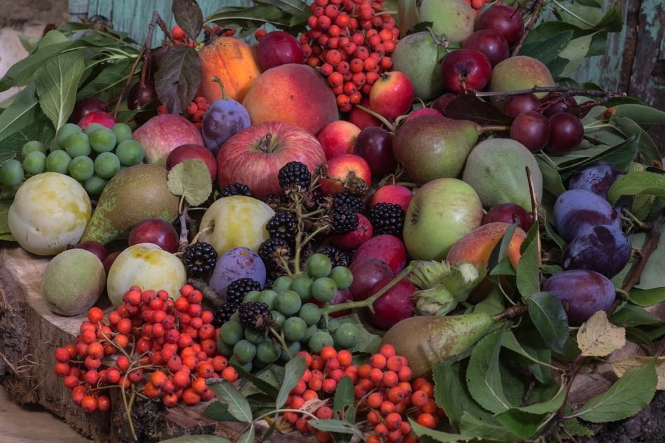 large basket of many fresh fruits and berries from market