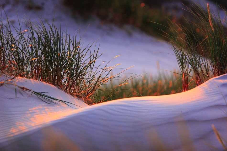slowniski national park coated with snow